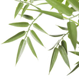 NNEDSZ Premium Natural Cane Artificial Bamboo (UV Resistant) 180cm