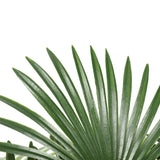 NNEDSZ Artificial Wide Leaf Fan Palm Tree 90cm