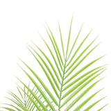 NNEDSZ Artificial Modern Bushy Areca Fern Tree 120cm