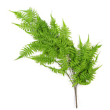 NNEDSZ Artificial Hanging English Fern (Two-Tone) Foliage UV Resistant 80cm