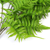 NNEDSZ Artificial Hanging English Fern (Two-Tone) Foliage UV Resistant 80cm