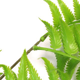 NNEDSZ Artificial Hanging English Fern (Two-Tone) Foliage UV Resistant 80cm