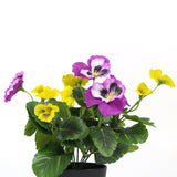 NNEDSZ Mixed Pink And Yellow Flowering Potted Artificial Pansy Plants 25cm