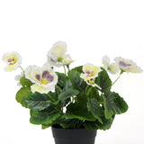 NNEDSZ Mixed White Flowering Potted Artificial Pansy Plants 25cm