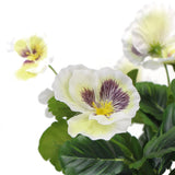 NNEDSZ Mixed White Flowering Potted Artificial Pansy Plants 25cm