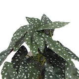 NNEDSZ Artificial Bergonia Plant In Decorative Bowl 30cm