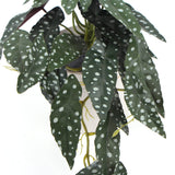 NNEDSZ Artificial Bergonia Plant In Decorative Bowl 30cm