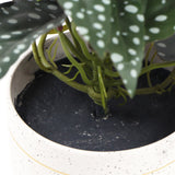 NNEDSZ Artificial Bergonia Plant In Decorative Bowl 30cm