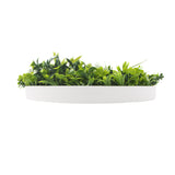 NNEDSZ Flowering White Artificial Green Wall Disc UV Resistant 75cm (White Frame)