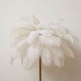 NNEDSZ Demi Feathered Floor Lamp