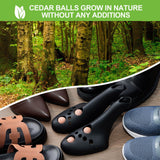 NNEDSZ Large Black Shoe Stretcher with Cedar Wood Balls, Size EUR 41-46 (Men's US 10-13, Women's 11.5-14.5)