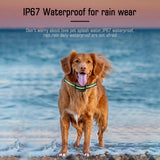 NNEDSZ Reflective Dog Collar with Adjustable Strap and Durable Buckle,High Visibility for Night Safety