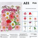 NNEDSZ Pressed Dried Flower Craft Kit - Mixed Color Floral Collection for DIY Projects(A21 Pink)