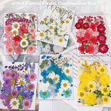 NNEDSZ Pressed Dried Flower Craft Kit - Mixed Color Floral Collection for DIY Projects(A21 Pink)
