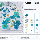 NNEDSZ Pressed Dried Flower Craft Kit - Mixed Color Floral Collection for DIY Projects(A22 Blue)