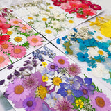 NNEDSZ Pressed Dried Flower Craft Kit - Mixed Color Floral Collection for DIY Projects(A22 Blue)