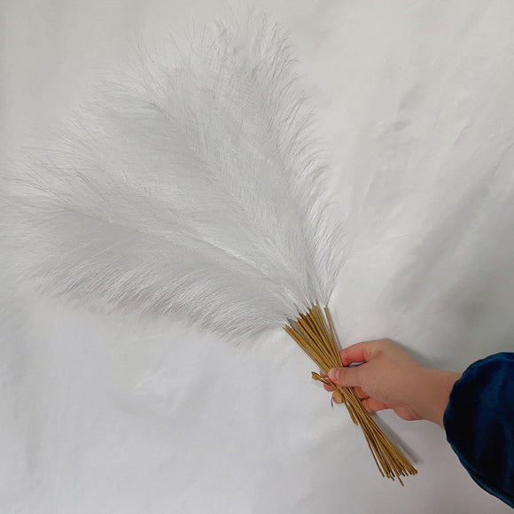 NNEDSZ 20 sticks Natural White Pampas Grass Bouquet - 21.65'' Fluffy Dried Pampas for Home Decor and Events