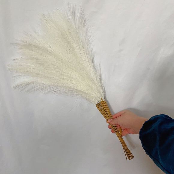 NNEDSZ 20 sticks Natural Milky white Pampas Grass Bouquet-21.65