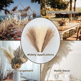 NNEDSZ 20 sticks Natural Milky white Pampas Grass Bouquet-21.65" Fluffy Dried Pampas for Home Decor and Events