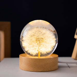 NNEDSZ Luminous 3D Dandelion Crystal Ball Beech Wood Stand Base Preserved Flower Sphere Ball Desktop Ornaments Bithday Christmas Gifts