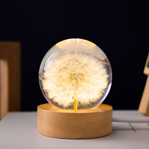 NNEDSZ Luminous 3D Dandelion Crystal Ball Beech Wood Stand Base Preserved Flower Sphere Ball Desktop Ornaments Bithday Christmas Gifts