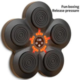 NNEDSZ Smart Interactive Boxing Target Wall Pad with Boxing Gloves for Kids - LED Training Board with Bluetooth Music and Adjustable Speed