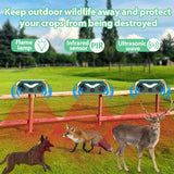 NNEDSZ Solar Powered Flame Lamp Animal Repeller - Ultrasonic Bird, Cat, Deer, Rabbit & Rodent Deterrent