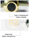 NNEDSZ Daisy Shape Portable USB Rechargeable LED Bulb - Night Light & Festive Decor