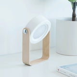 NNEDSZ Gray Transformable Lantern Desk Lamp with USB Rechargeable Battery - Touch Control, 3 Brightness Levels, 0.3W