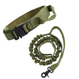 NNEDSZ M Green Hands-Free Dog Leash with Adjustable Waist Belt - Shock Absorbing Bungee Lead