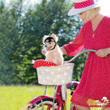 NNEDSZ Size S Pink Pet Safety Helmet - Stylish Protective Headgear for Dogs