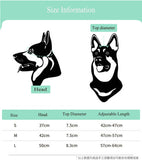 NNEDSZ Size M Black Pet Safety Helmet - Stylish Protective Headgear for Dogs