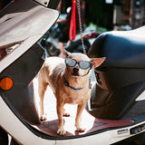 NNEDSZ Black Lenses Pet Sunglasses for Dogs and Cats - UV Protection, Adjustable Strap, Anti-Wind and Anti-Fog Pet Goggles