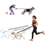 NNEDSZ Black Reflective Pet Waist Bag with Hands-Free Leash for Night Safety - Adjustable Waist Pack with Detachable Pouches