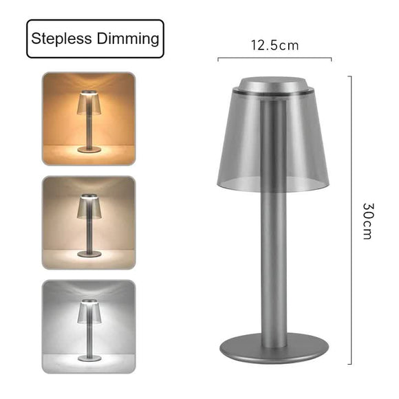 NNEDSZ Silver Stylish Transparent Desk Lamp with Touch Control, LED, Type-C Charging - Simple and Modern Design