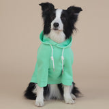 NNEDSZ XL Green Cute Dog Hoodie with Adjustable Drawstring - Available in Various Sizes