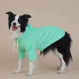 NNEDSZ 2XL Green Cute Dog Hoodie with Adjustable Drawstring - Available in Various Sizes