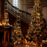 NNEDSZ Festive Climbing Santa LED Ladder Light - USB Powered Outdoor Christmas Hanging Decoration with Remote(1.7m)