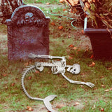 NNEDSZ Halloween 31.5 inch  Poseable Mermaid Skeleton Prop Haunted Decor