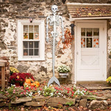 NNEDSZ Halloween 31.5 inch  Poseable Mermaid Skeleton Prop Haunted Decor