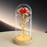 NNEDSZ LED Eternal Red Rose in Glass Dome – Anniversary Flower Gift for Her, Mom, or Girlfriend