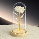 NNEDSZ LED Eternal Colorful Rose in Glass Dome – Anniversary Flower Gift for Her, Mom, or Girlfriend