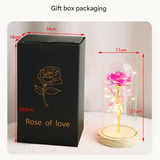 NNEDSZ LED Eternal Colorful Rose in Glass Dome – Anniversary Flower Gift for Her, Mom, or Girlfriend