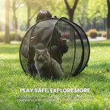 Pink 360° Panoramic Rolling Cat Playpen - 70cm Foldable Spherical Cat Safe Exercise Enclosure, One-Click Setup & Easy Storage for Indoor Outdoor Play and Training