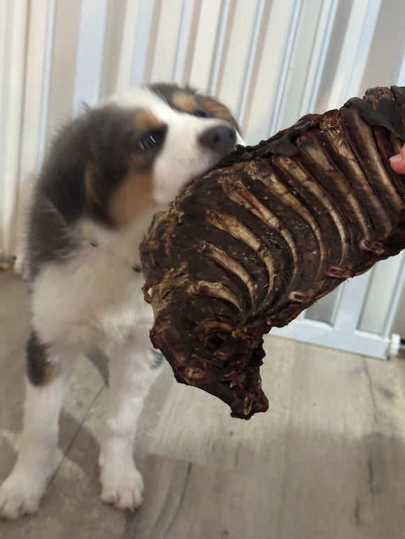 NNEDSZ 1x Just Kangaroo Rib Racks