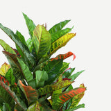 NNEDSZ 125cm Faux Artificial Home Decor Potted Codiaeum Plant
