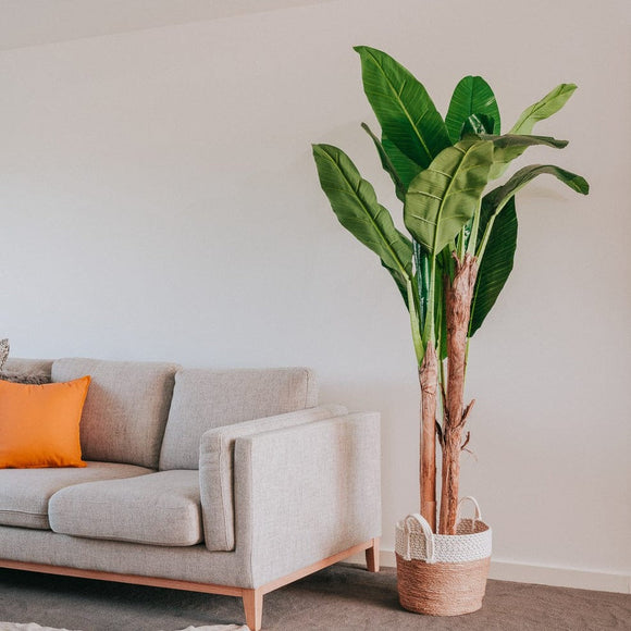NNEDSZ 180cm Banana Tree - Artificial Plant, Home Decor Flora