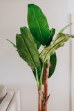 NNEDSZ 180cm Banana Tree - Artificial Plant, Home Decor Flora