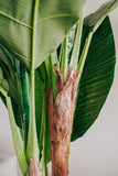 NNEDSZ 180cm Banana Tree - Artificial Plant, Home Decor Flora