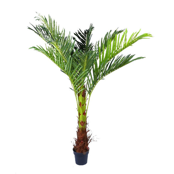 NNEDSZ 180cm Phoenix Palm - Artificial Plant, Home Decor Flora